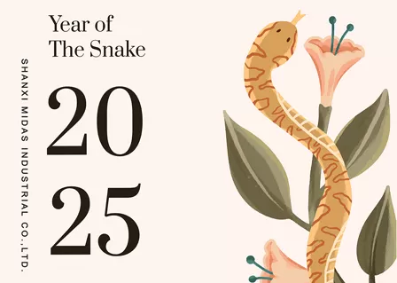 Happy New Year 2025!